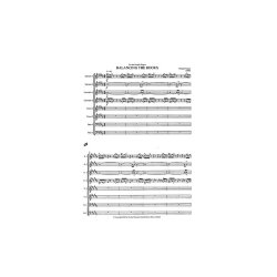 Michael Nyman: Balancing The Books