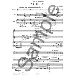 Kaija Saariaho: Ariel's Hail (Performance Score)