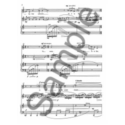 Kaija Saariaho: Ariel's Hail (Performance Score)