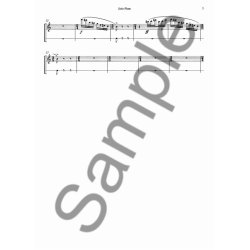 Kaija Saariaho: Terrestre (Parts)