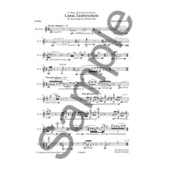 Simon Holt: Lunas Zauberschein (Mezzo-Soprano/Bass Flute)