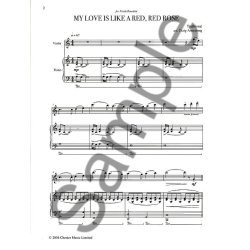 The Violin: A Collection