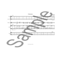 Joby Talbot: December - Polarisation (Score/Parts)