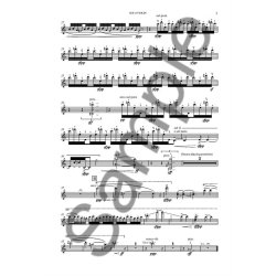 Simon Holt: Witness To A Snow Miracle (Solo Violin Part)