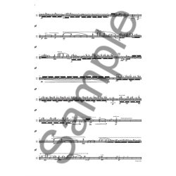 Simon Holt: Witness To A Snow Miracle (Score)