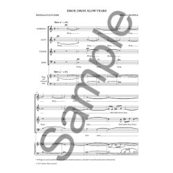 Brian Chapple: Drop, Drop, Slow Tears