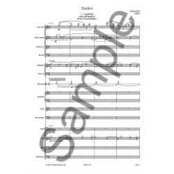 Simon Holt: Sue&ntilde;os