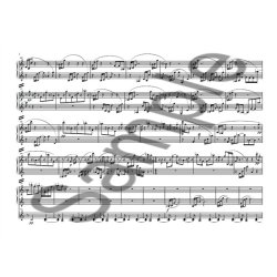 Kevin Volans: Double Take