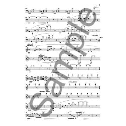 Kevin Volans: A Short Walk In The Gardens Of Solitude