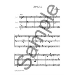 Kevin Volans: Chakra For Three Percussionists