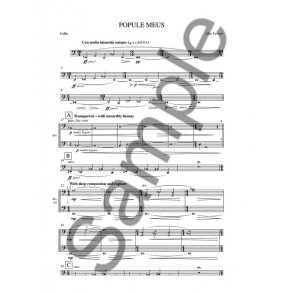 John Tavener: Popule Meus - a Meditation (Solo Part)