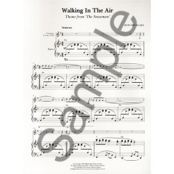 Howard Blake: Walking In The Air (The Snowman) - Trumpet Or B Flat Cornet/Piano