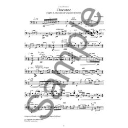 Mystery Variations On A Theme By Colombi