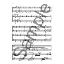 Kevin Volans: Desert Steps (Score)