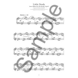 The Essential Collection: Schumann Gold (CD Edition)