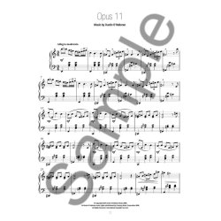 Dustin O'Halloran: Piano Solos - Volumes 1 & 2