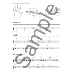 Nigel Tuffs: The Beginner Guitarist - Book 1