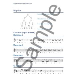 Nigel Tuffs: The Beginner Guitarist - Book 2