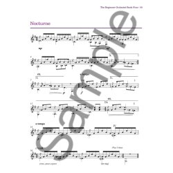 Nigel Tuffs: The Beginner Guitarist - Book 4