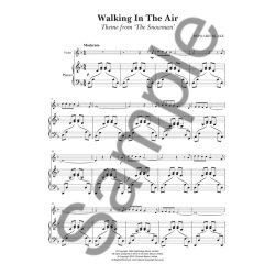 Howard Blake: Walking In The Air (The Snowman) - Violin/Piano