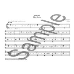 Pawel Szymanski: Two Studies For Piano