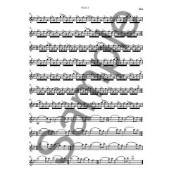 Michael Nyman: Through The Only Window - String Quartet &amp; Piano (Score/Parts)