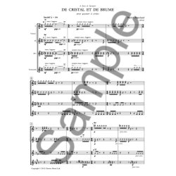 Patric Marcland: De Cristal Et De Brume