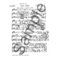 William Busch: Sweet Content