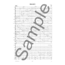 Simon Holt: Ellsworth 2