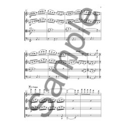 Howard Blake: The Snowman - Concert Suite For String Quartet (Parts)