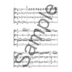 Howard Blake: The Snowman - Concert Suite For String Quartet (Score)