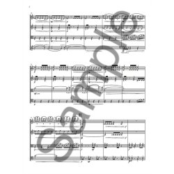 Joby Talbot: Genus Quartet (For String Quartet)