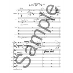 Kevin Volans: Looping Point