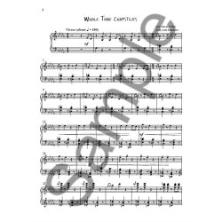 Kevin Volans: Progressively Prickly Piano Pieces