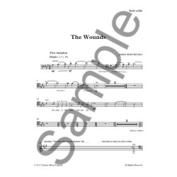 James Whibourn: The Wounds (Parts)