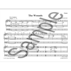 James Whibourn: The Wounds (Parts)