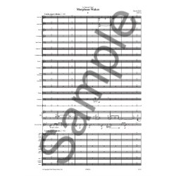 Simon Holt: Morpheus Wakes (Study Score)