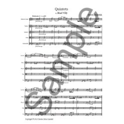 Bryce Dessner: Quintets