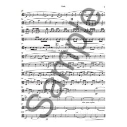 Bryce Dessner: Quintets