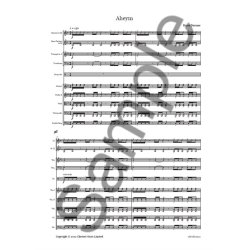 Bryce Dessner: Aheym For Orchestra