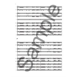 Bryce Dessner: Aheym For Orchestra