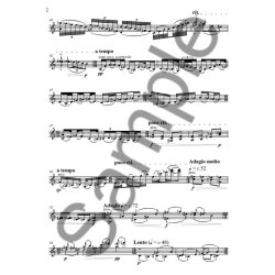 Peter Maxwell Davies: Sonatina For Violin Alone