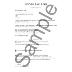 Mica Levi: Under the Skin