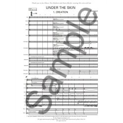 Mica Levi: Under the Skin