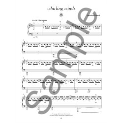 Ludovico Einaudi: Elements