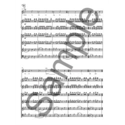 Michael Nyman: I Sonetti Lussuriosi (Full Score)