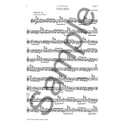 Kevin Volans: 7 Flutes (Score/Parts)