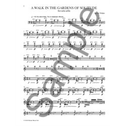 Kevin Volans: A Walk In The Gardens Of Solitude