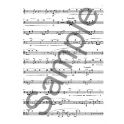 Kevin Volans: A Walk In The Gardens Of Solitude