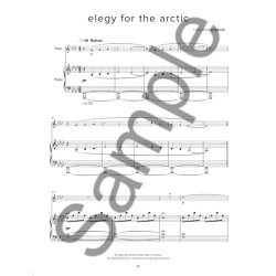 Ludovico Einaudi: The Flute Collection (Book/Online Media)